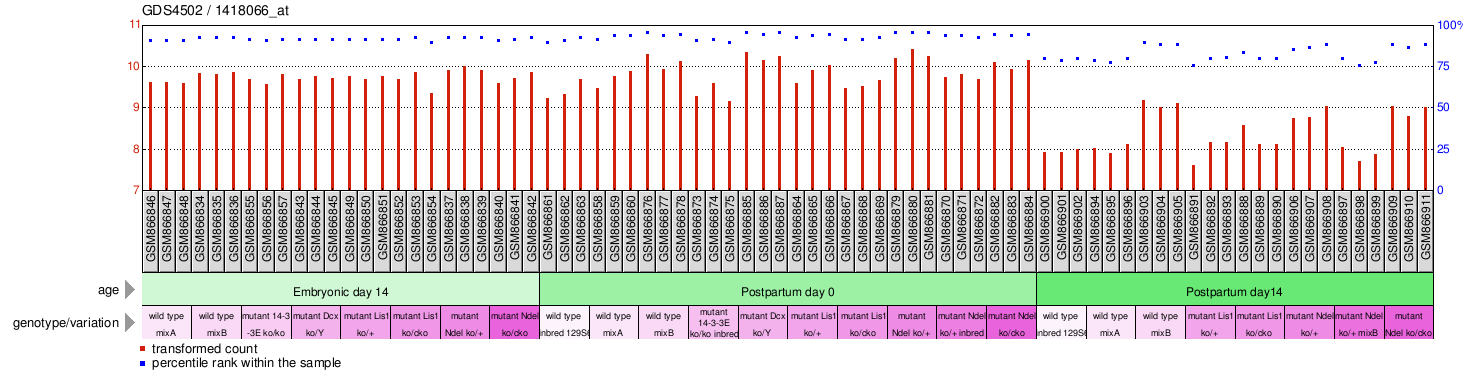 Gene Expression Profile