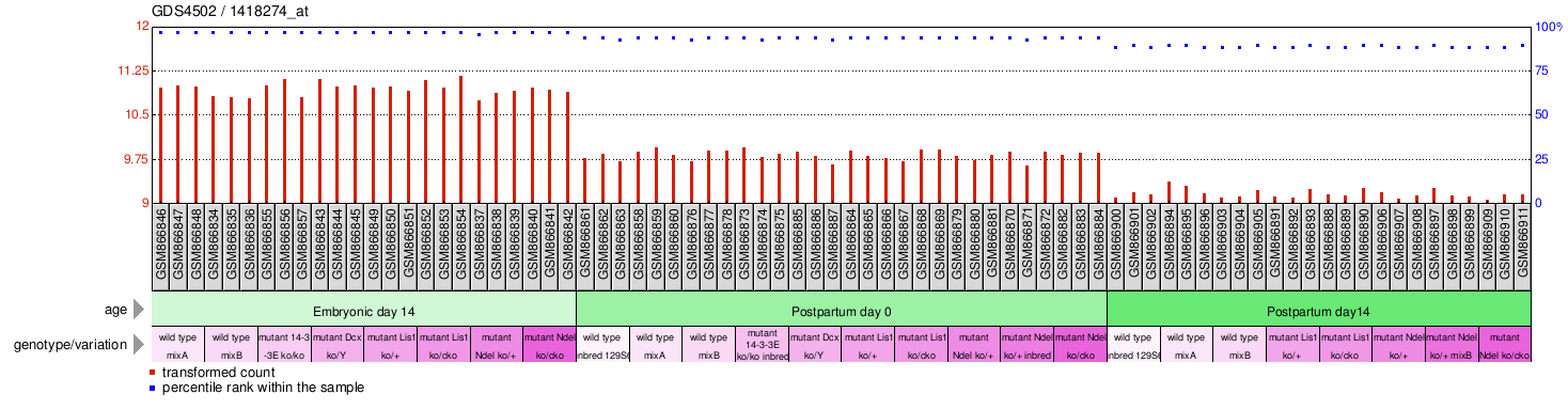 Gene Expression Profile