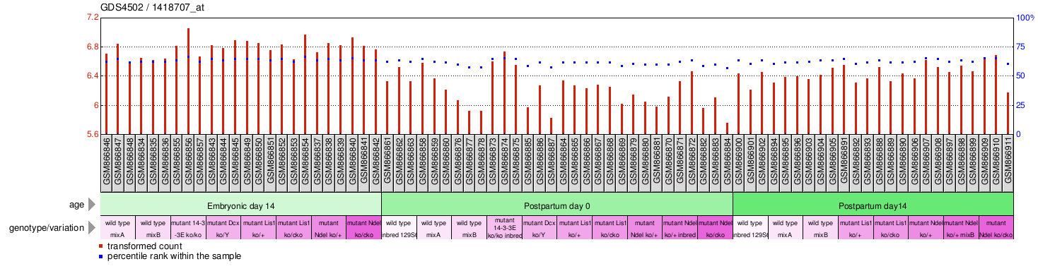 Gene Expression Profile