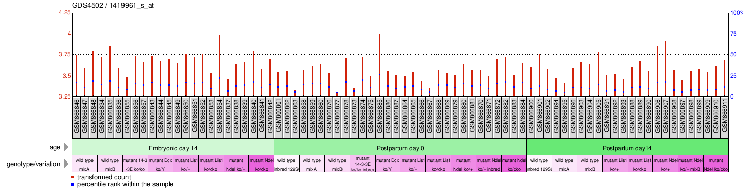 Gene Expression Profile