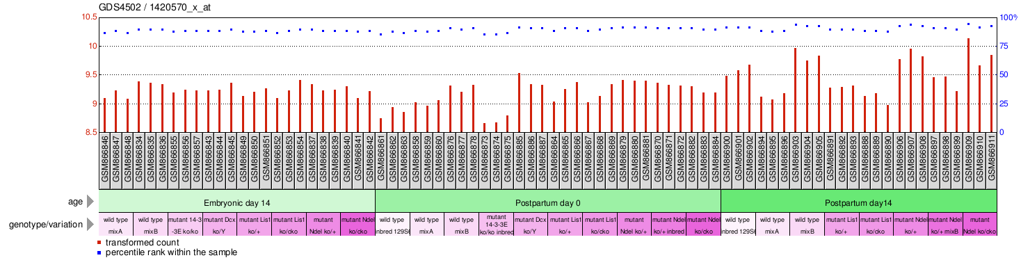 Gene Expression Profile