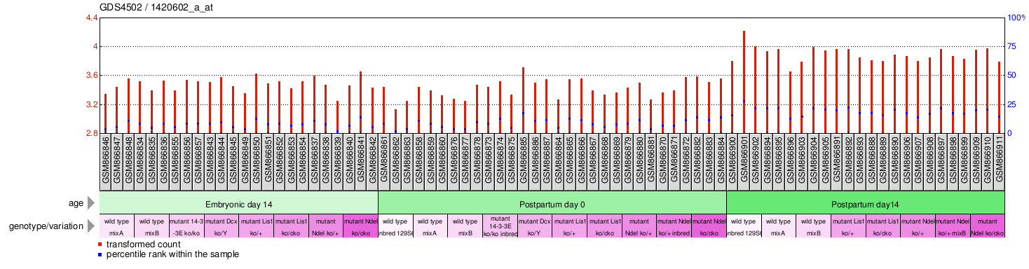 Gene Expression Profile