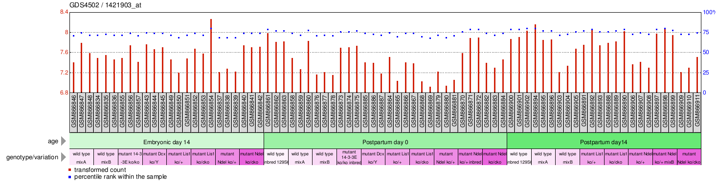 Gene Expression Profile