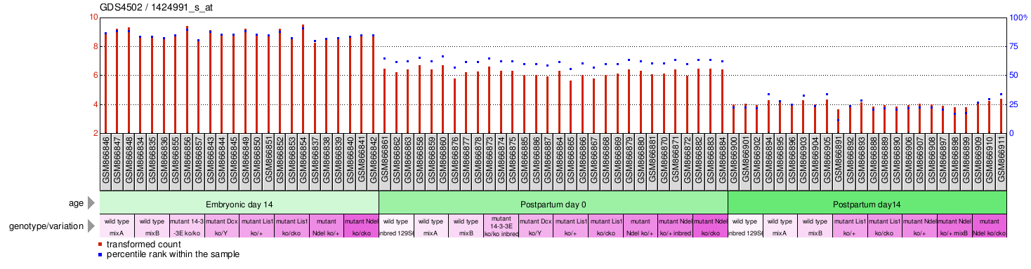 Gene Expression Profile