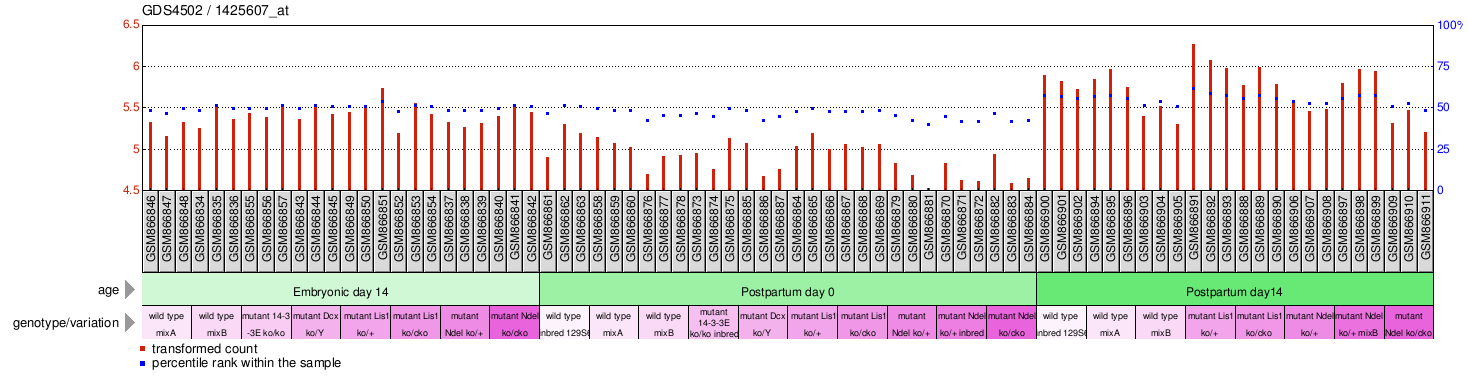 Gene Expression Profile