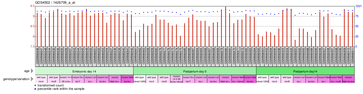 Gene Expression Profile