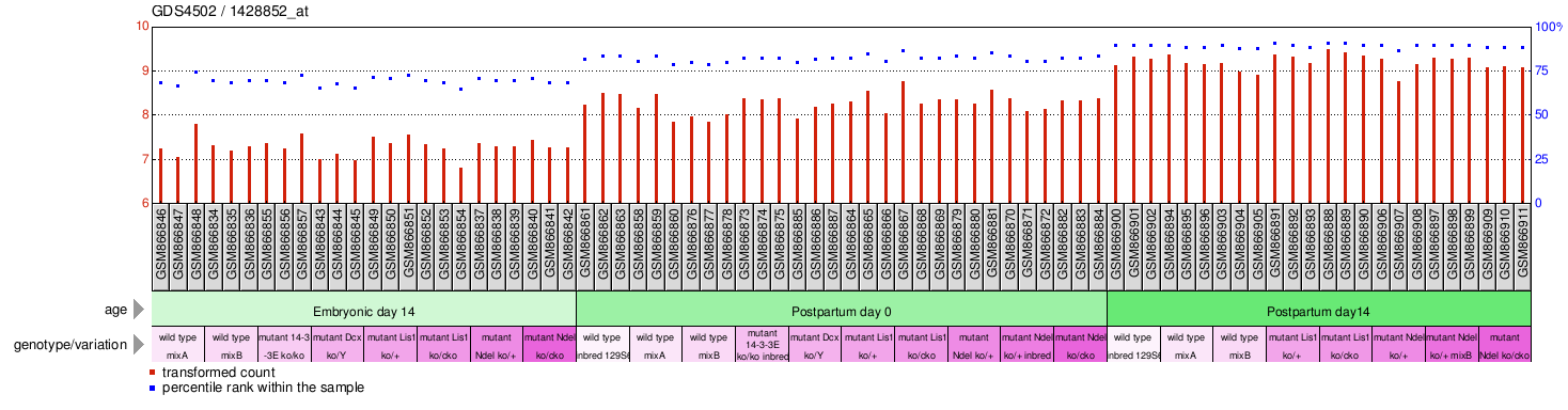 Gene Expression Profile