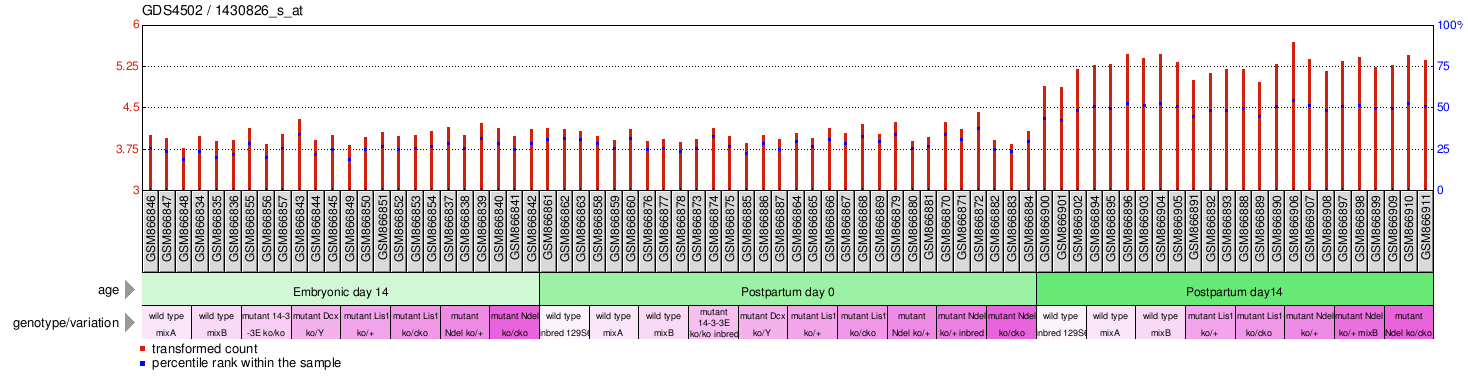 Gene Expression Profile