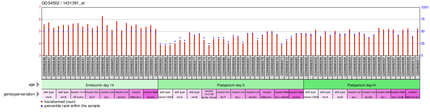 Gene Expression Profile