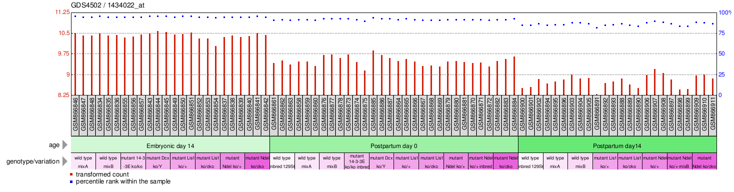 Gene Expression Profile