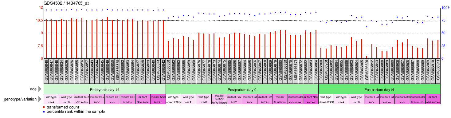 Gene Expression Profile