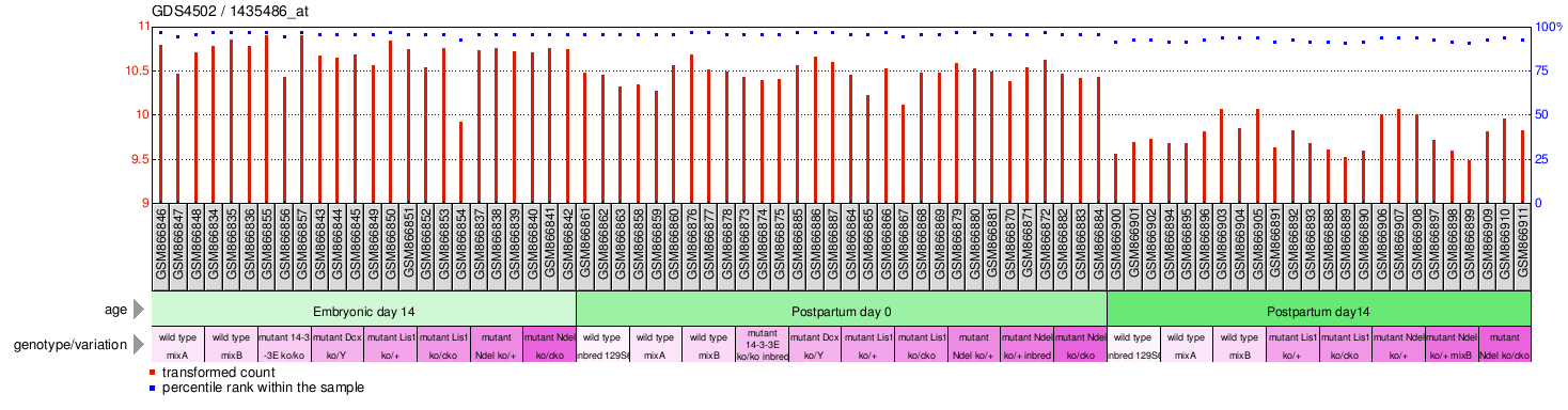 Gene Expression Profile