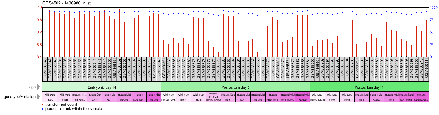 Gene Expression Profile