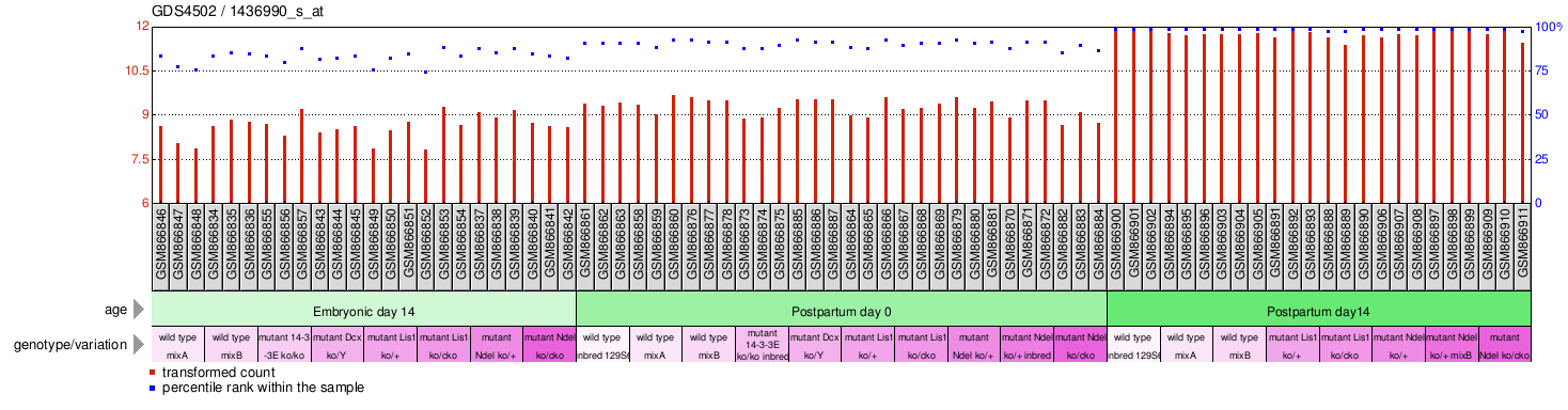 Gene Expression Profile