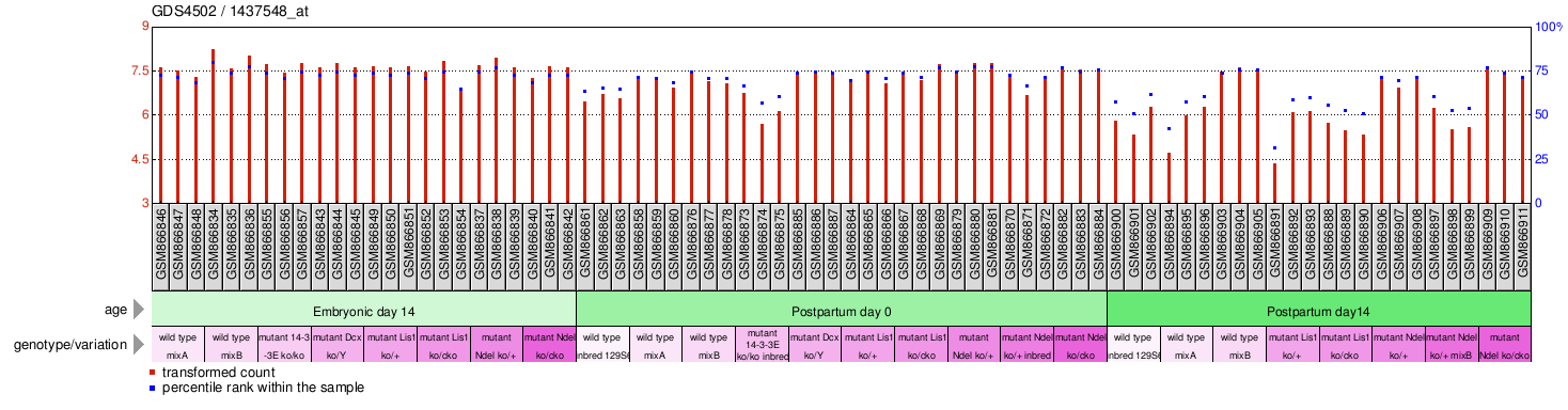 Gene Expression Profile