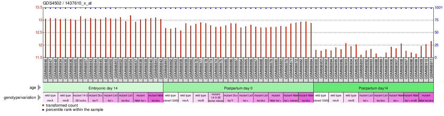 Gene Expression Profile