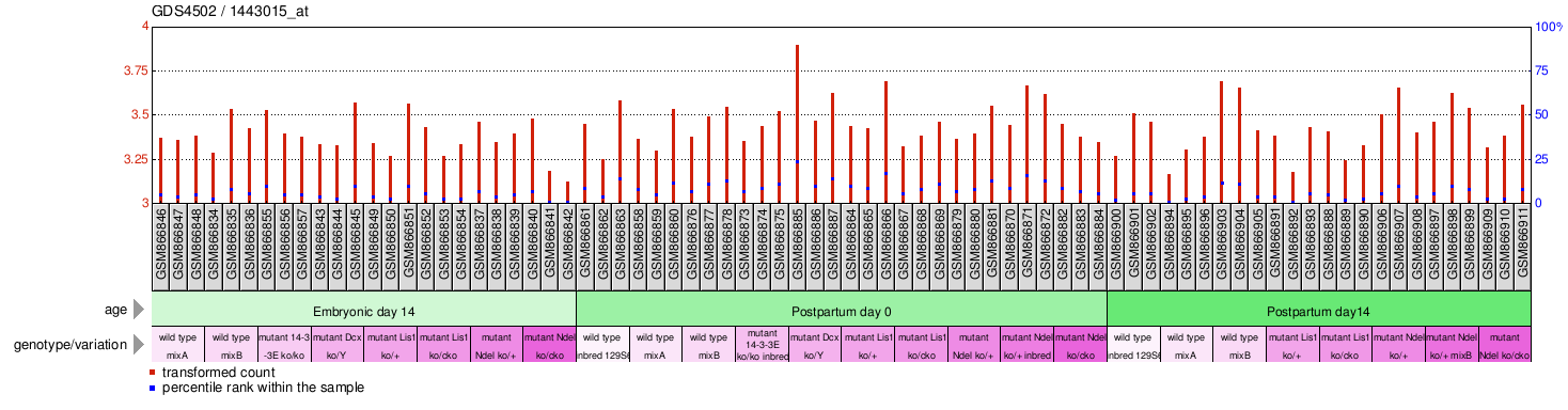 Gene Expression Profile