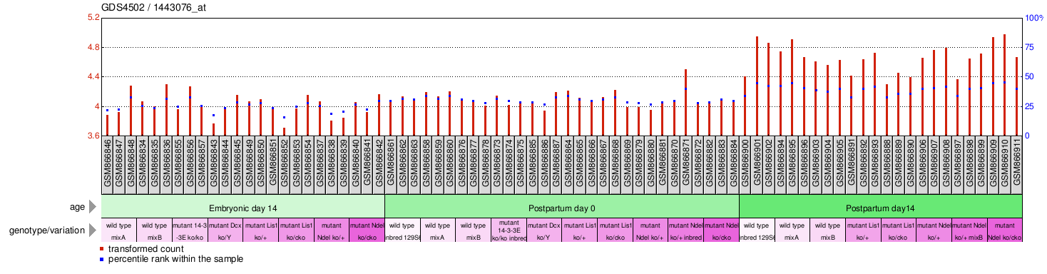 Gene Expression Profile