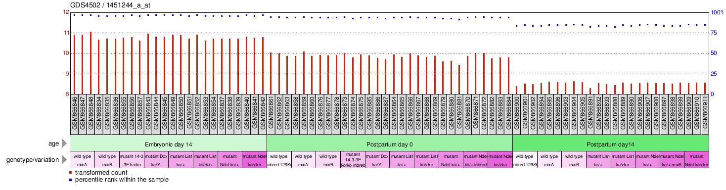 Gene Expression Profile