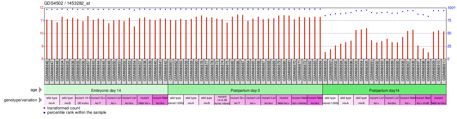 Gene Expression Profile