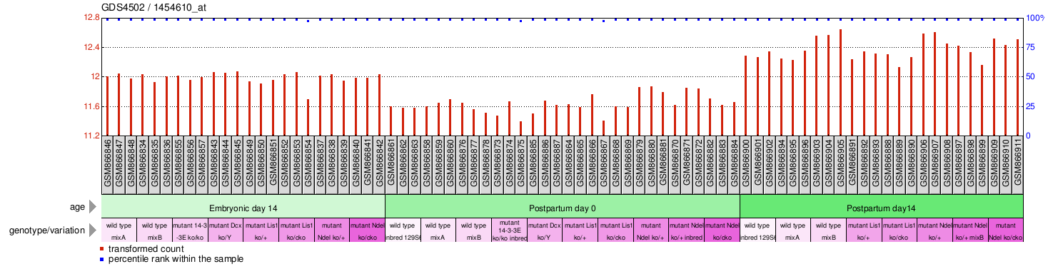 Gene Expression Profile