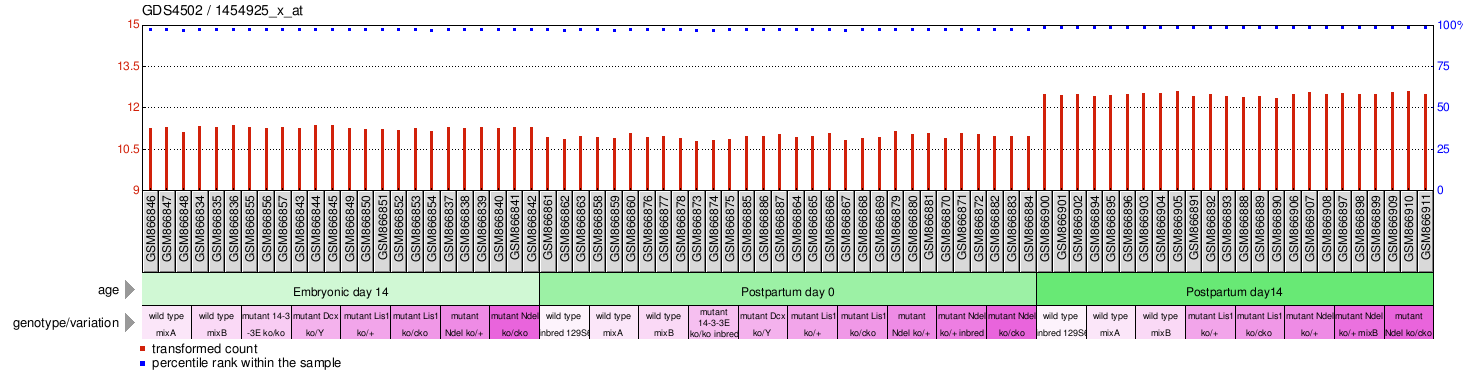 Gene Expression Profile