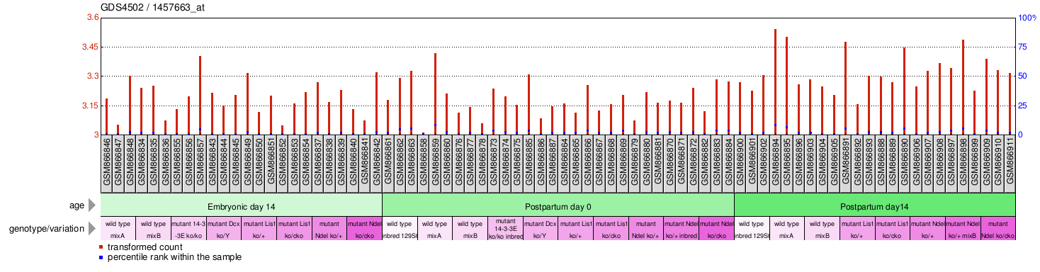 Gene Expression Profile