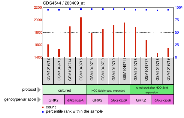 Gene Expression Profile