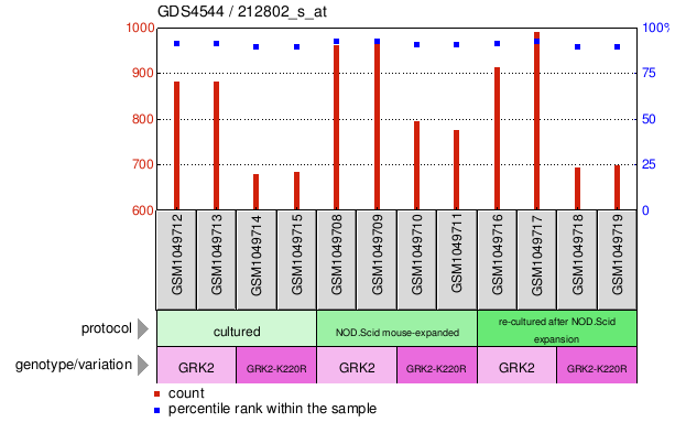 Gene Expression Profile