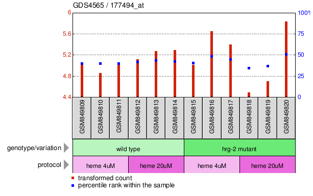 Gene Expression Profile