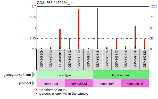 Gene Expression Profile