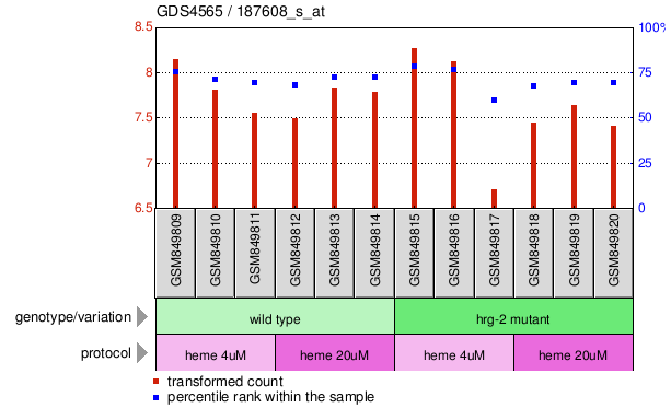 Gene Expression Profile