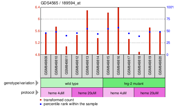 Gene Expression Profile