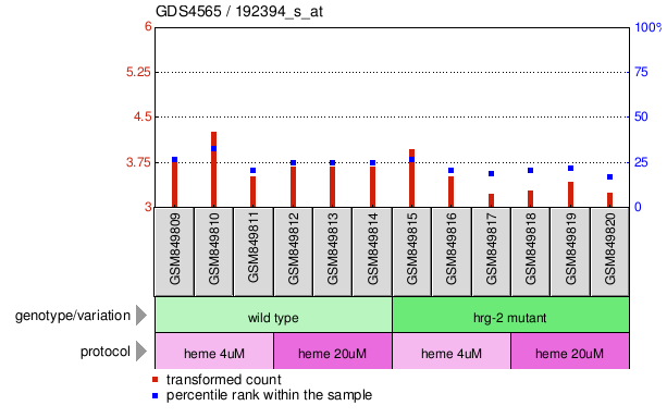 Gene Expression Profile