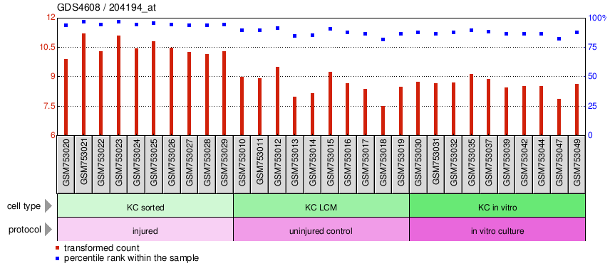 Gene Expression Profile