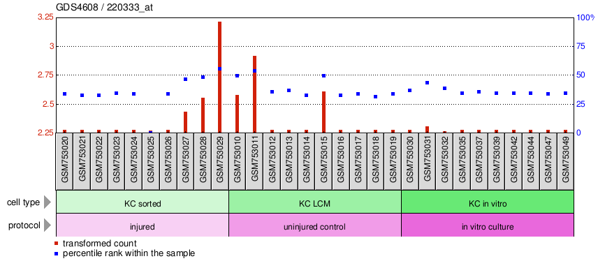 Gene Expression Profile