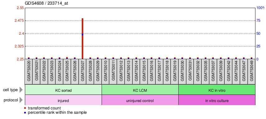 Gene Expression Profile