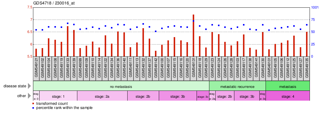 Gene Expression Profile