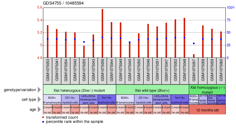 Gene Expression Profile