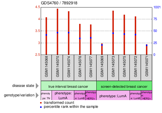 Gene Expression Profile