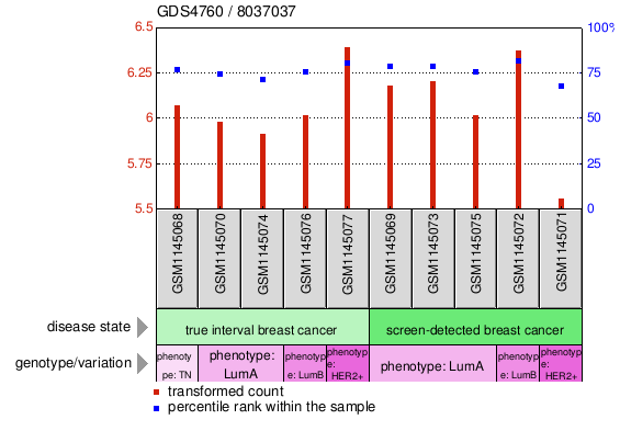 Gene Expression Profile