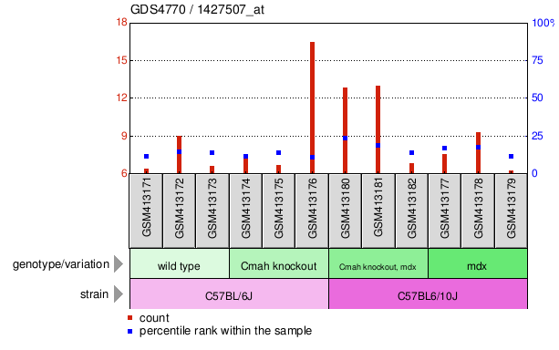 Gene Expression Profile