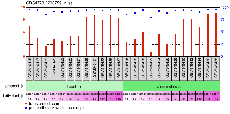 Gene Expression Profile