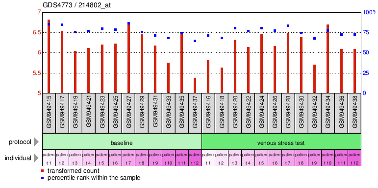 Gene Expression Profile