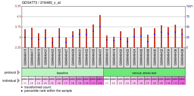 Gene Expression Profile