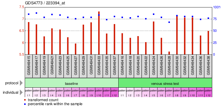 Gene Expression Profile