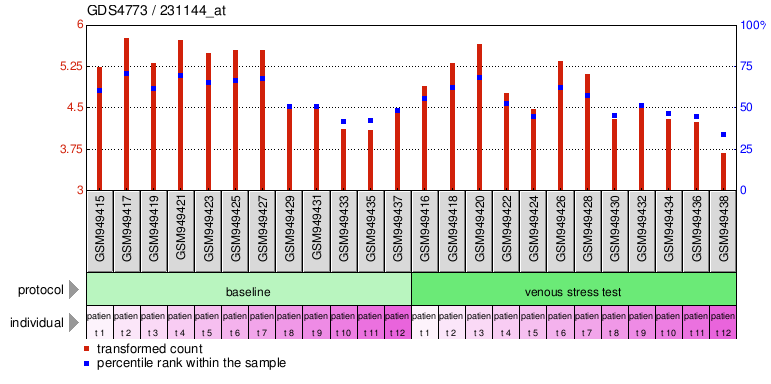 Gene Expression Profile