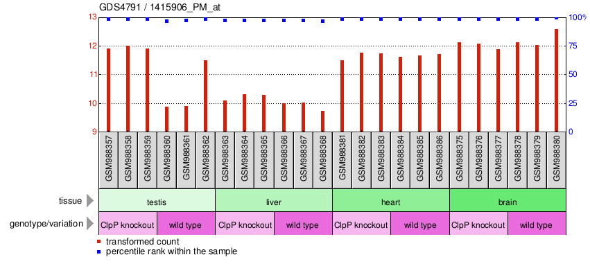 Gene Expression Profile