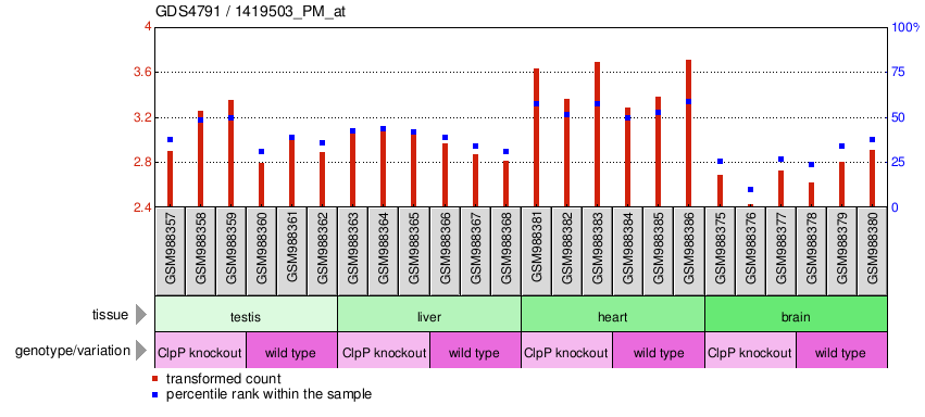 Gene Expression Profile