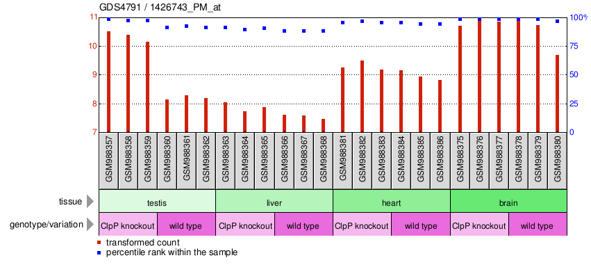 Gene Expression Profile